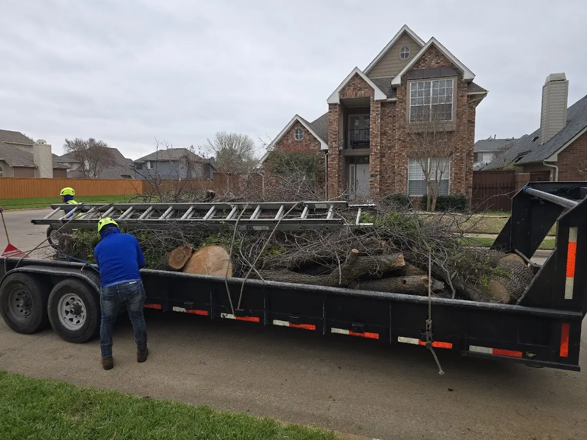 Expert Tree Pest Control with proper safety equipment in Turbotville